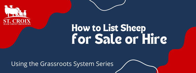 How to List Sheep for Sale on Grassroots