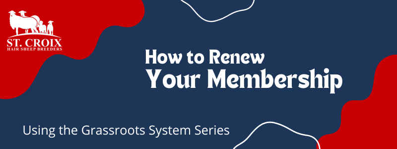 How to Renew Your Membership