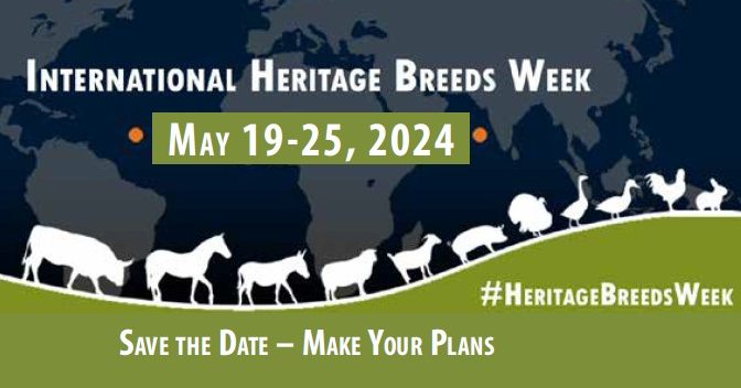 2024 International Heritage Breeds Week – May 19-25